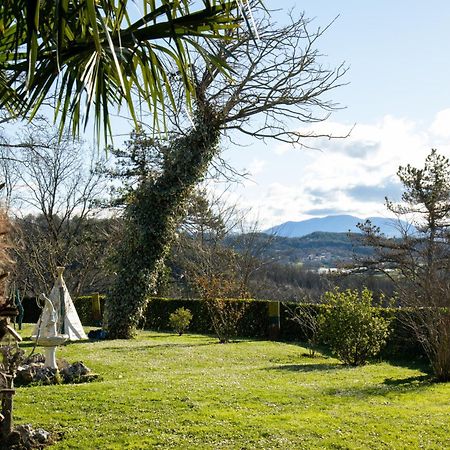 Farm Stay Synergia - Hiden Treasure Pazin Bagian luar foto